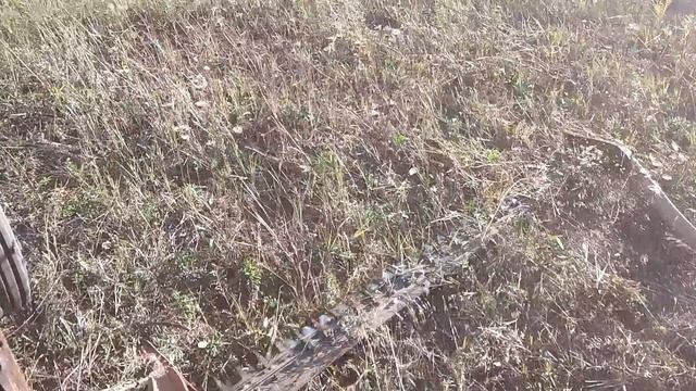 Трактор 🚜Т-16 сенокос часть 2. Иркутская область Усть- Удинский район село Молька