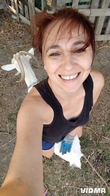 Мы все это не любим, но надо - так надо