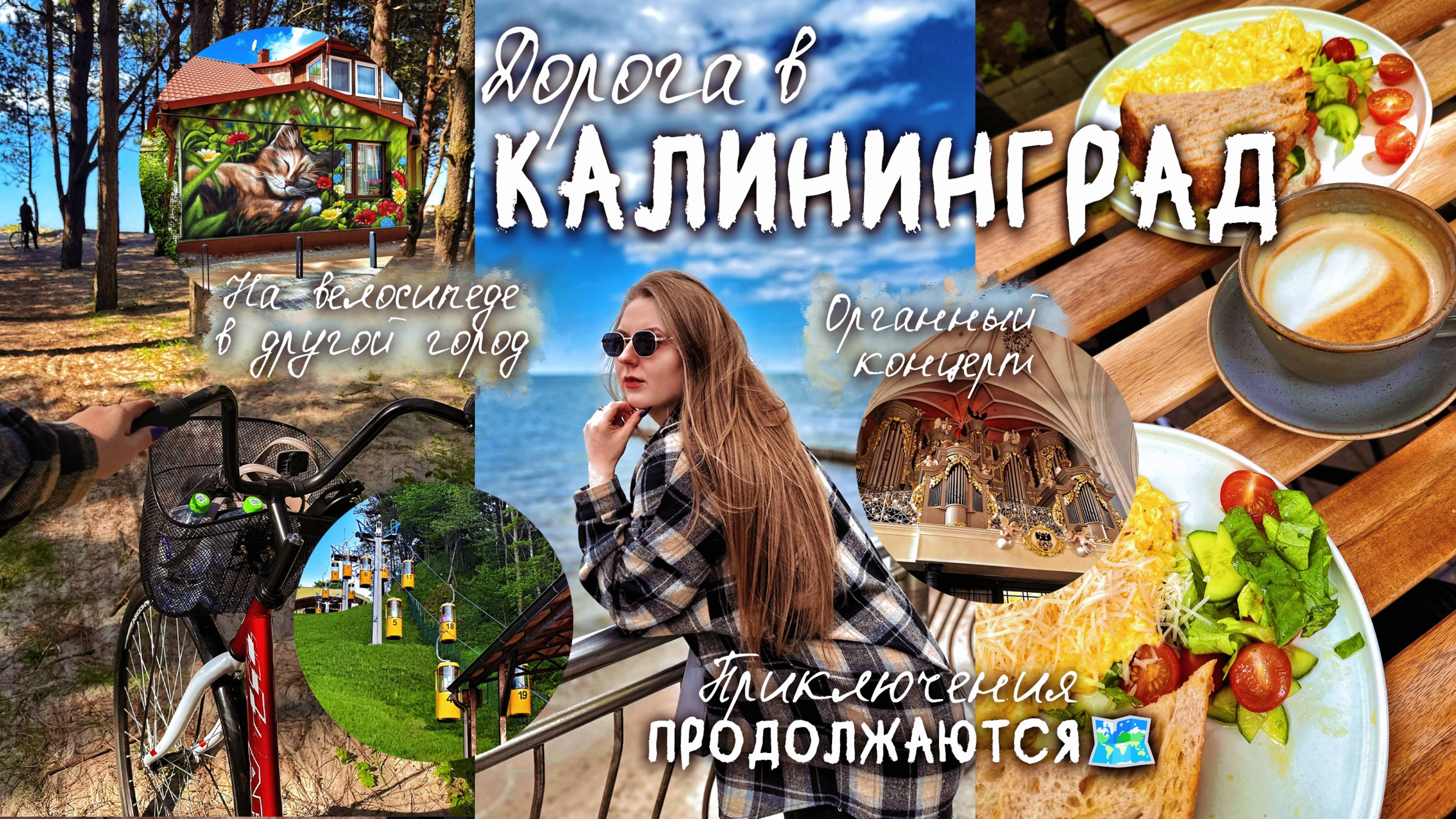 Дорога в Калининград: приключения продолжаются🗺️