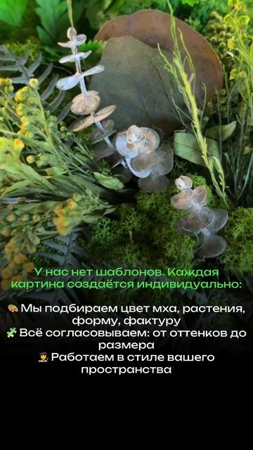 Картины из мха и растений разной фактуры и оттенков