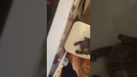 пять ночей с бабайкой