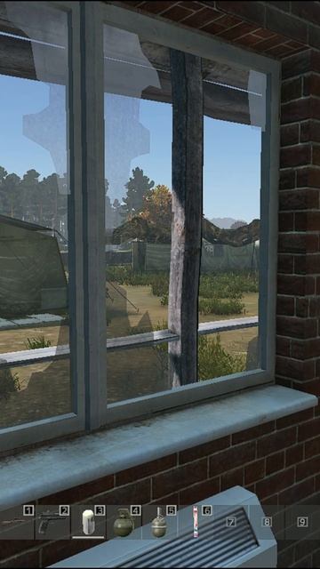 Proshil cherez palatku dayz дейз ksmn dayzshorts