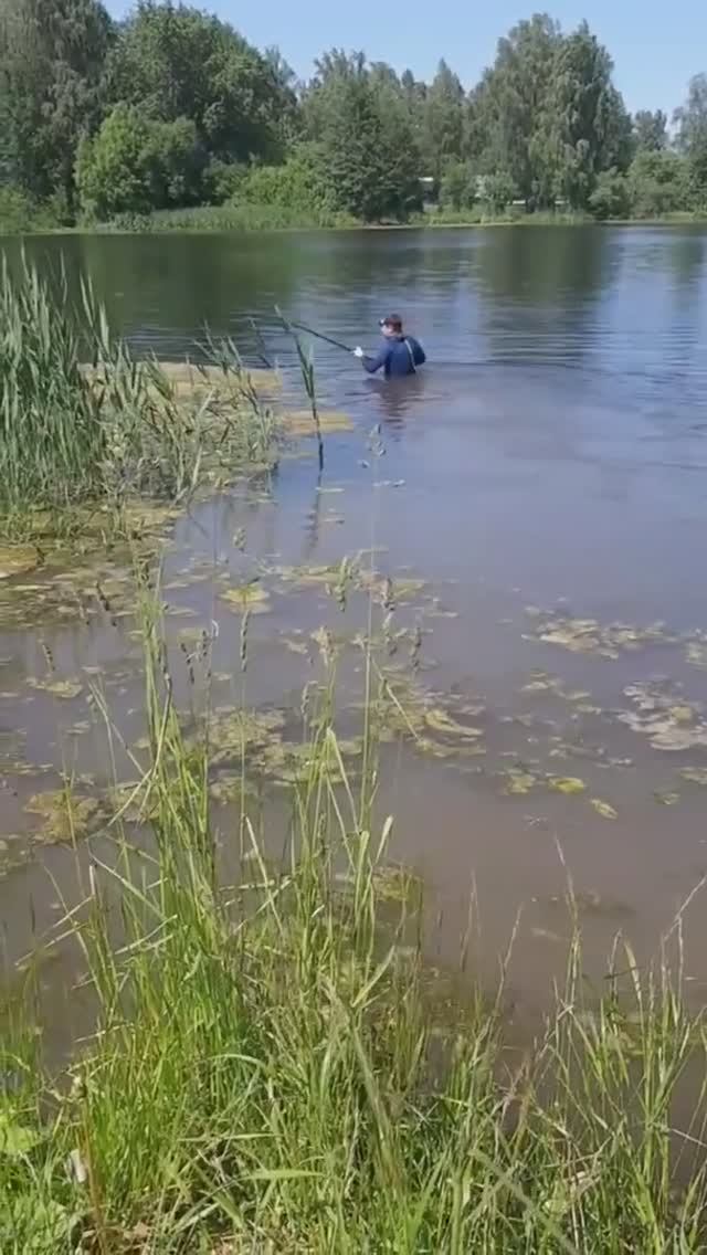 Очищаем пляж от зарослей