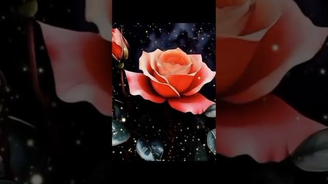 Ухожу за солнцем/90
