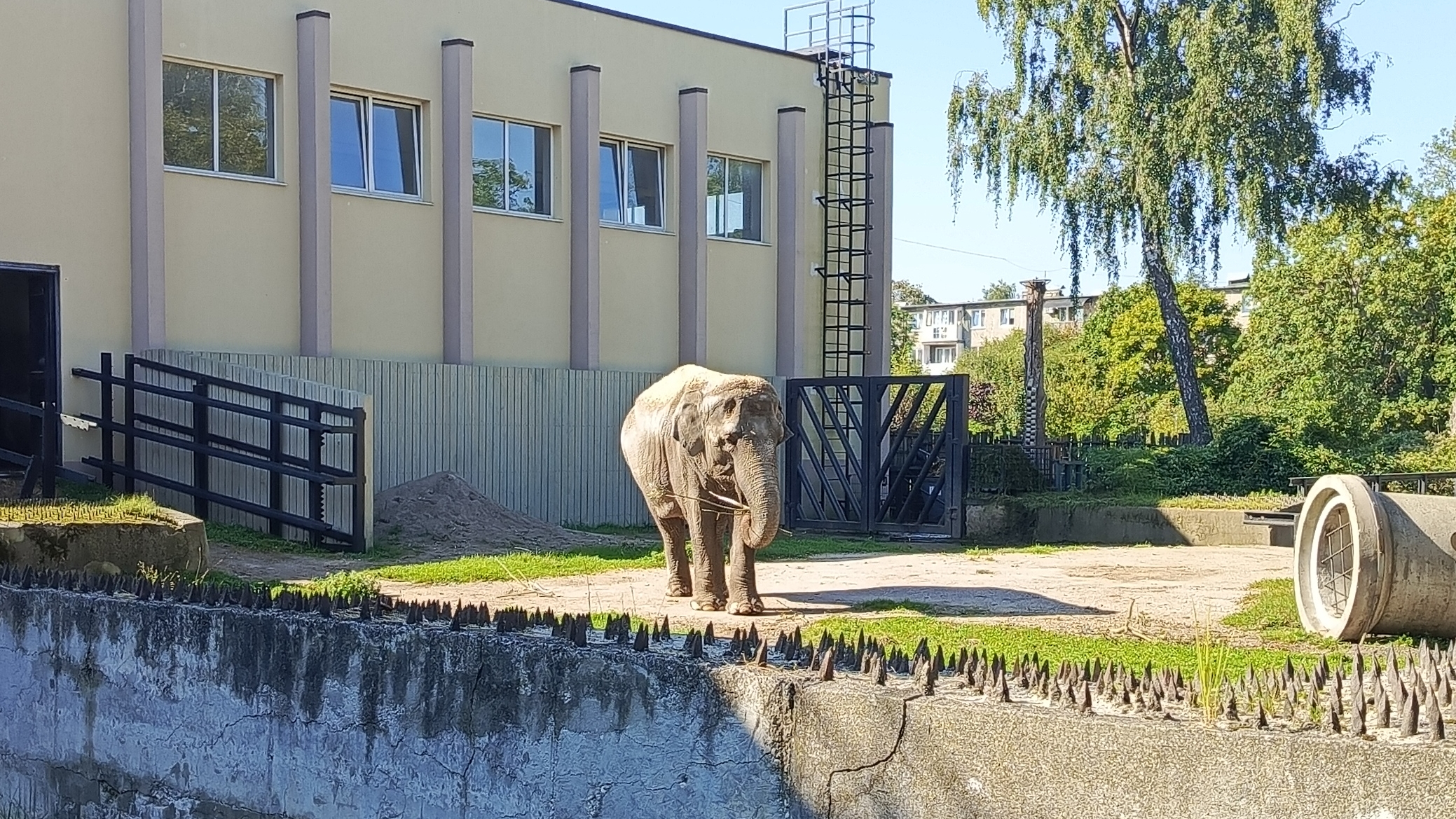 Калининградский зоопарк 2025 год.