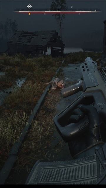 Барсик играется в Сталкер 2  😊👍