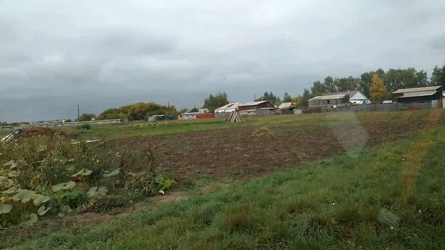 Подарки от сына с Озон / поездка в старую деревню / ответ на комментарий!