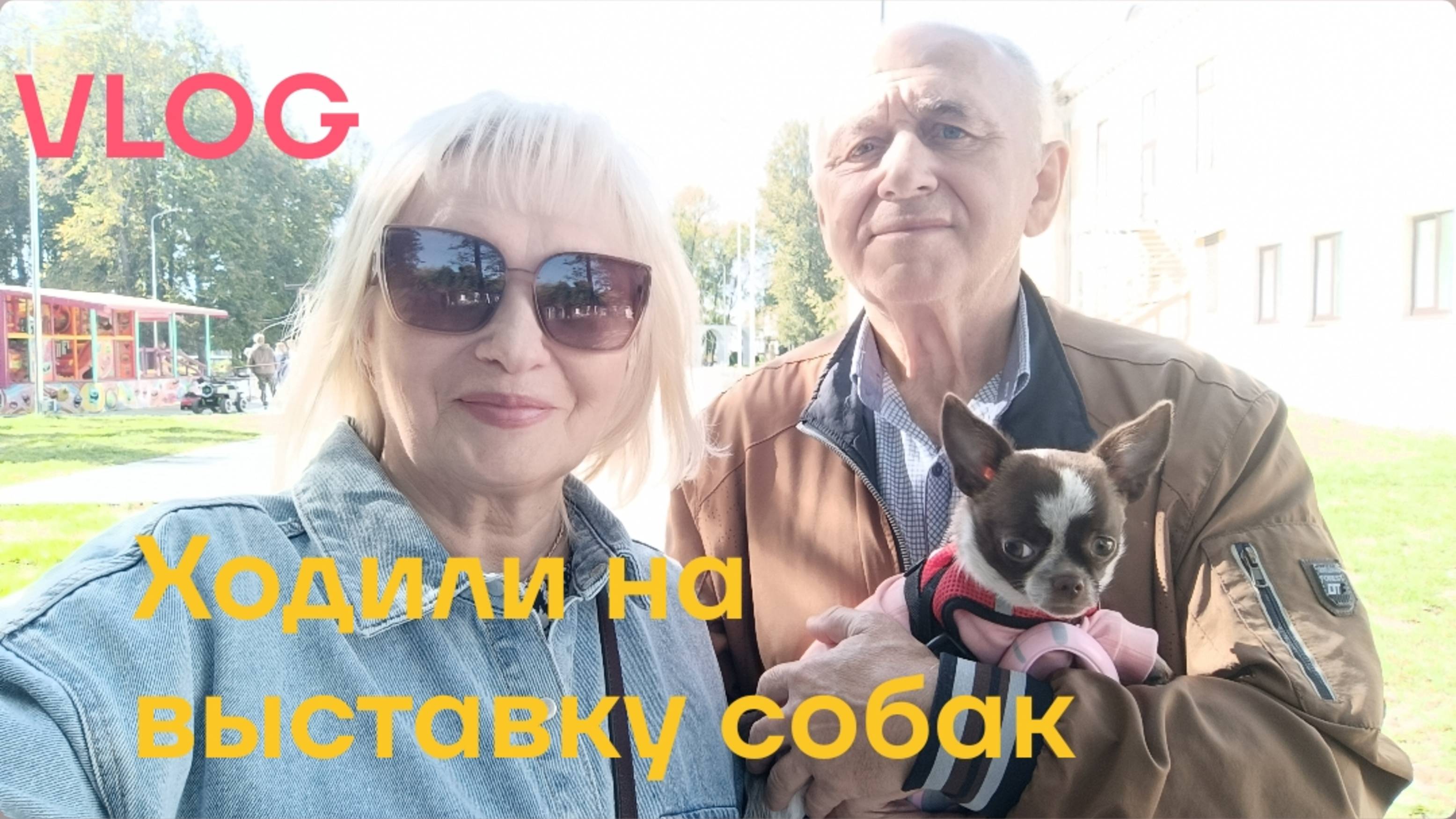 ✅Ходили на выставку собак🐕 Других посмотрели и себя показали 💥
