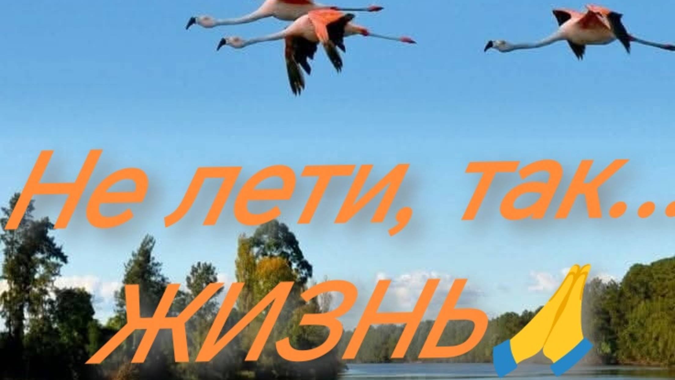 Не лети так.., ЖИЗНЬ🙏 сентябрь-25г.