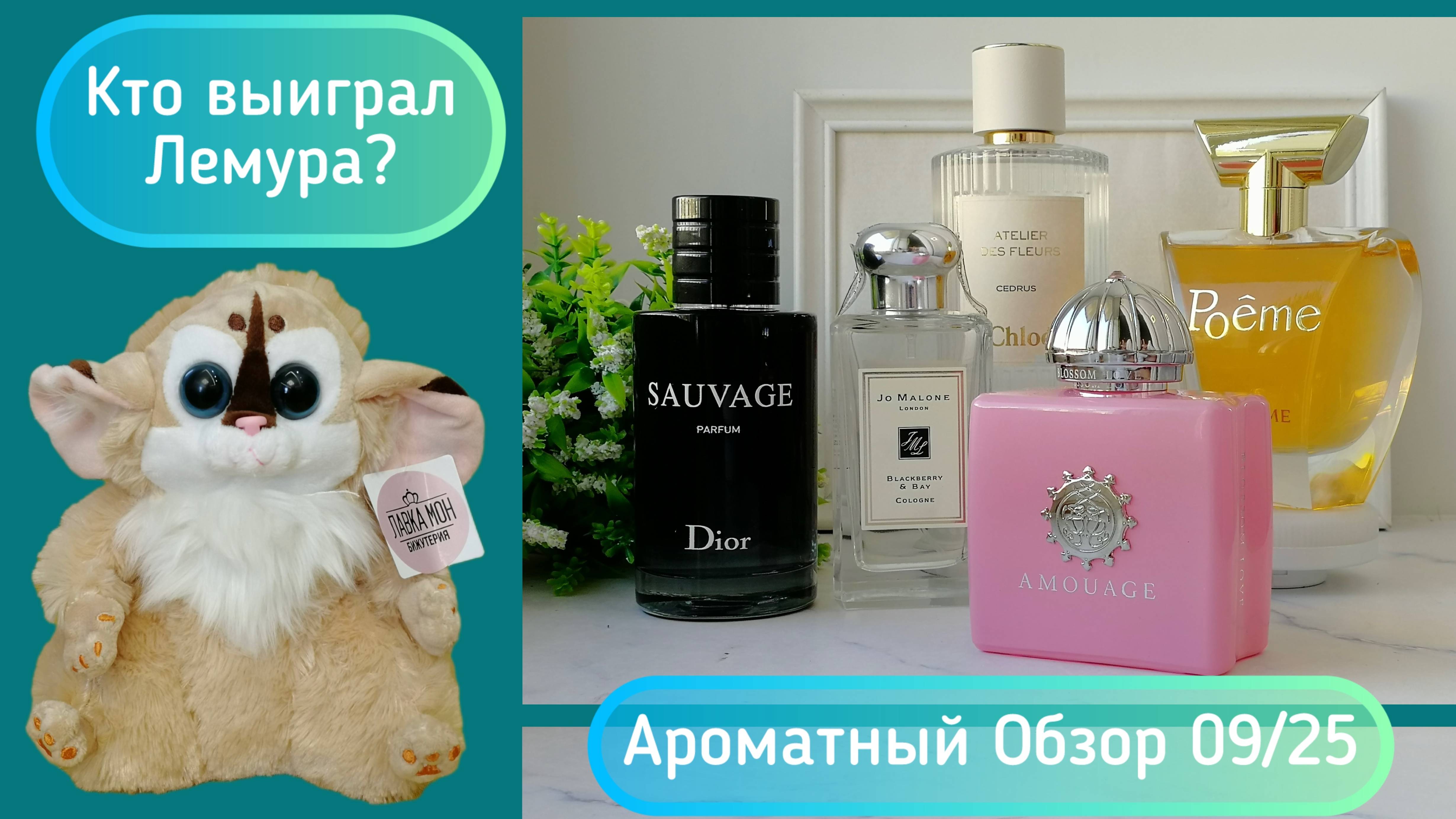 Парфюмерные Новинки. 09/25 Кто выиграл Браслет и Лемура?