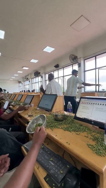 электронный аукцион кардамона #shorts