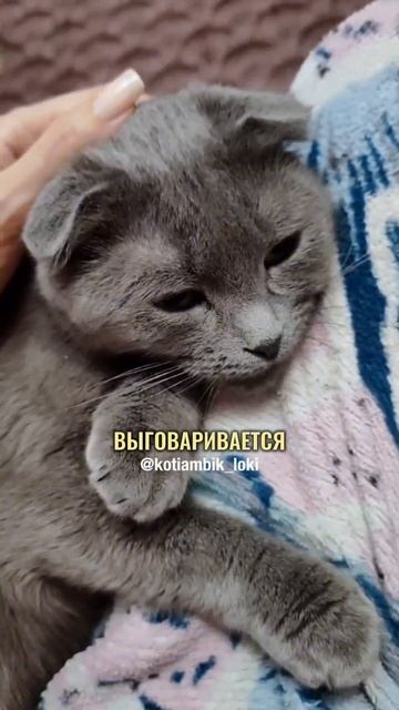 Даффи устроилась на работу😅