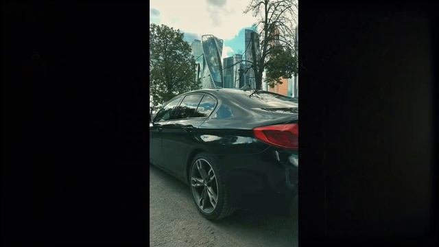 Владимир Курский - Филиал в управление. Компания АПА-АВТОПРОКАТ.
