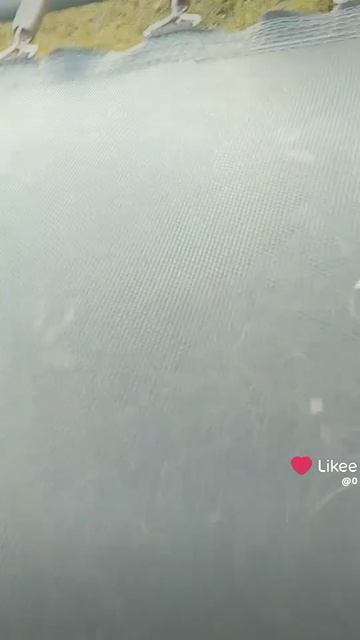 1000016271.mp4