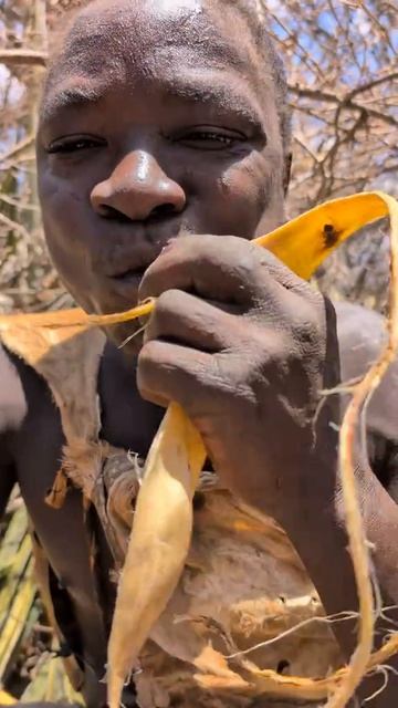 Дудукве пока никто не видит  из жителей племени быстро ест самый вкусный плод дерева баобаба