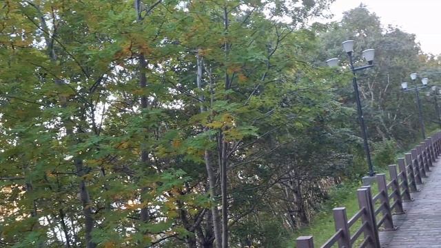 13.09.25. (2-ая часть) Праздник в разгаре. Сопка