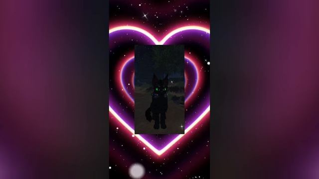Пестроцветка и Тенегрив ♥️