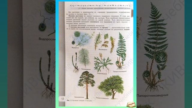 Биология 6 класс (Пасечник В.В.-2024). §1. Общие признаки, разнообразие, распространение, значение