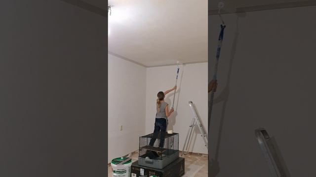Ремонт в гостиной 4 часть.