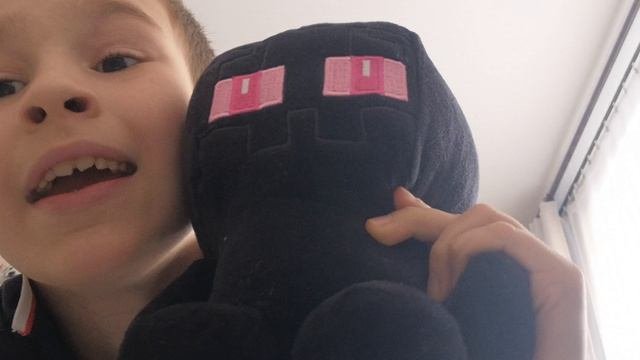 Я наказал сваи любимые игрушки