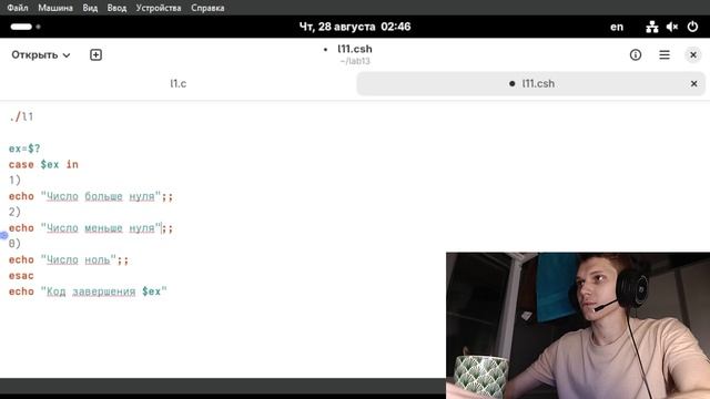Лабораторная 13
