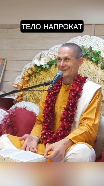 Тело напрокат