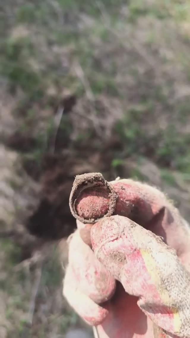 Перстень #metaldetecting #коп  #coin #metaldetector #золото #история #xp