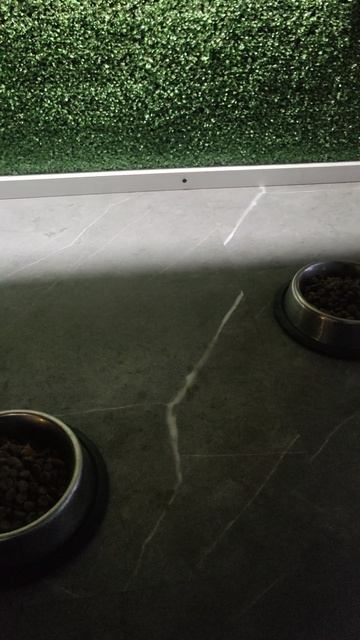 Кафе "Вкусняшка" ждёт ночных посетителей.