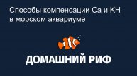 Способы компенсации кальция и KH в морском аквариуме: плюсы и минусы