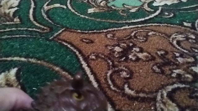 клип про детёныша КАРНОТАВРА