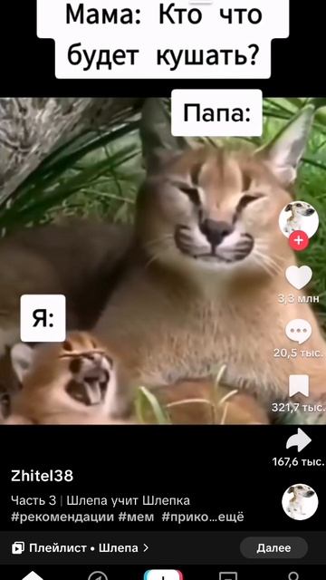 Моя любимая еда это..