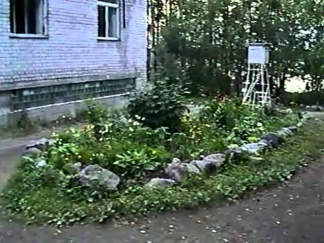 Практика первого курса биофака МГУ на ББС в 2002 году - студенческие будни