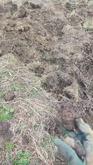 Классная находка на Шурфе!