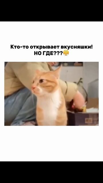 1000007853.mp4