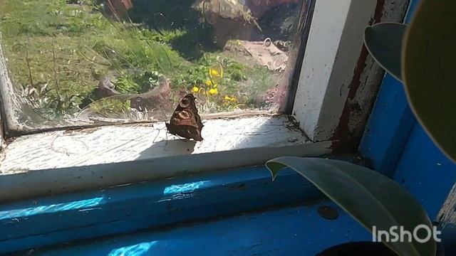Привет из солнечного лета. Релакс