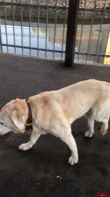 Новая площадка