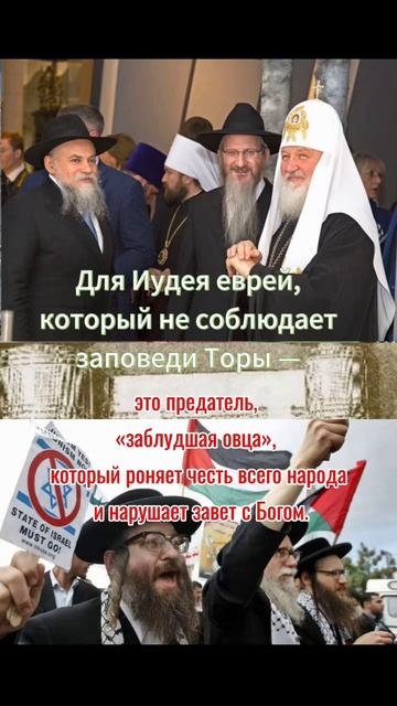 🕎🕎Для иудея еврей, который не соблюдает заповеди Торы — это предатель, «заблудшая овца», который рон