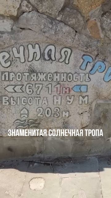 Чем заниматься в Ялте