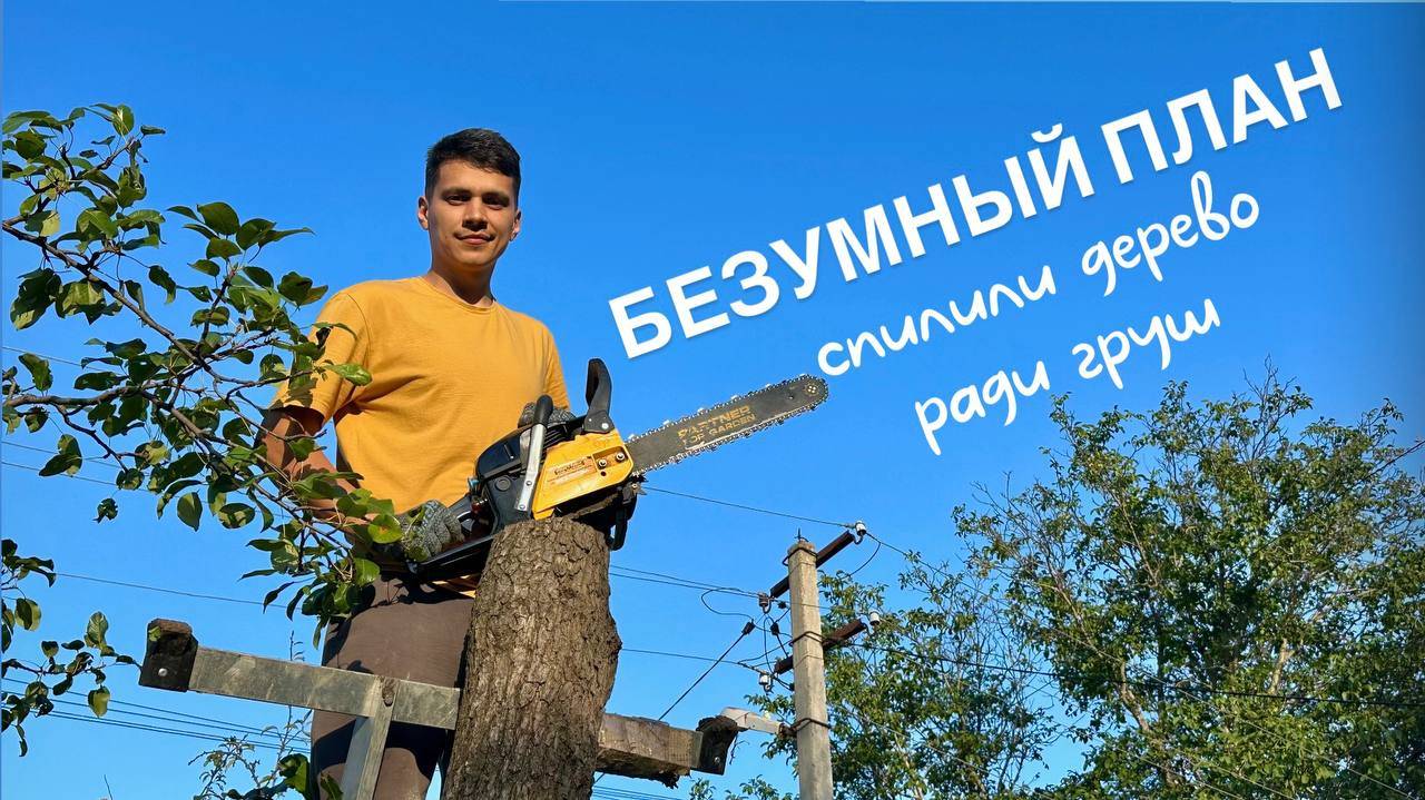 КУПИЛИ ДОМ В СЕЛЕ #47. Радикальна обрезка, поездка в Ростов-на-Дону, обновления в подвале.