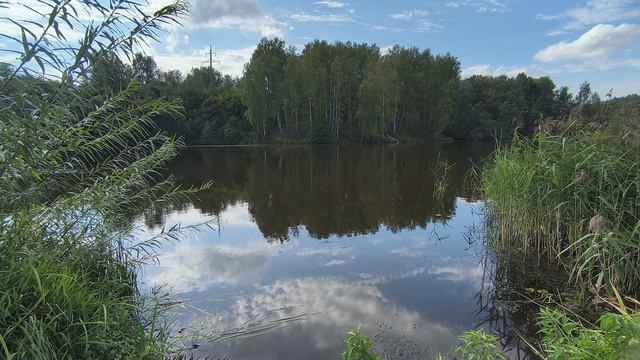 Новоталицкое вдхр. ч.4. Сентябрь 2025