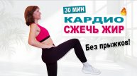Кардио тренировка без прыжков | Сжечь жир за 30 минут | 3500 шагов | Без повторов | Физкультурница
