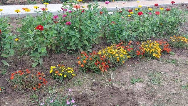 Наши 8,4 сотки🏡Победила клумбу с цветами 💪