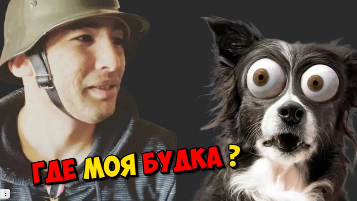 АЛИЯ УСТРОИЛА СКАНДАЛ В ШЕСТЬ УТРА