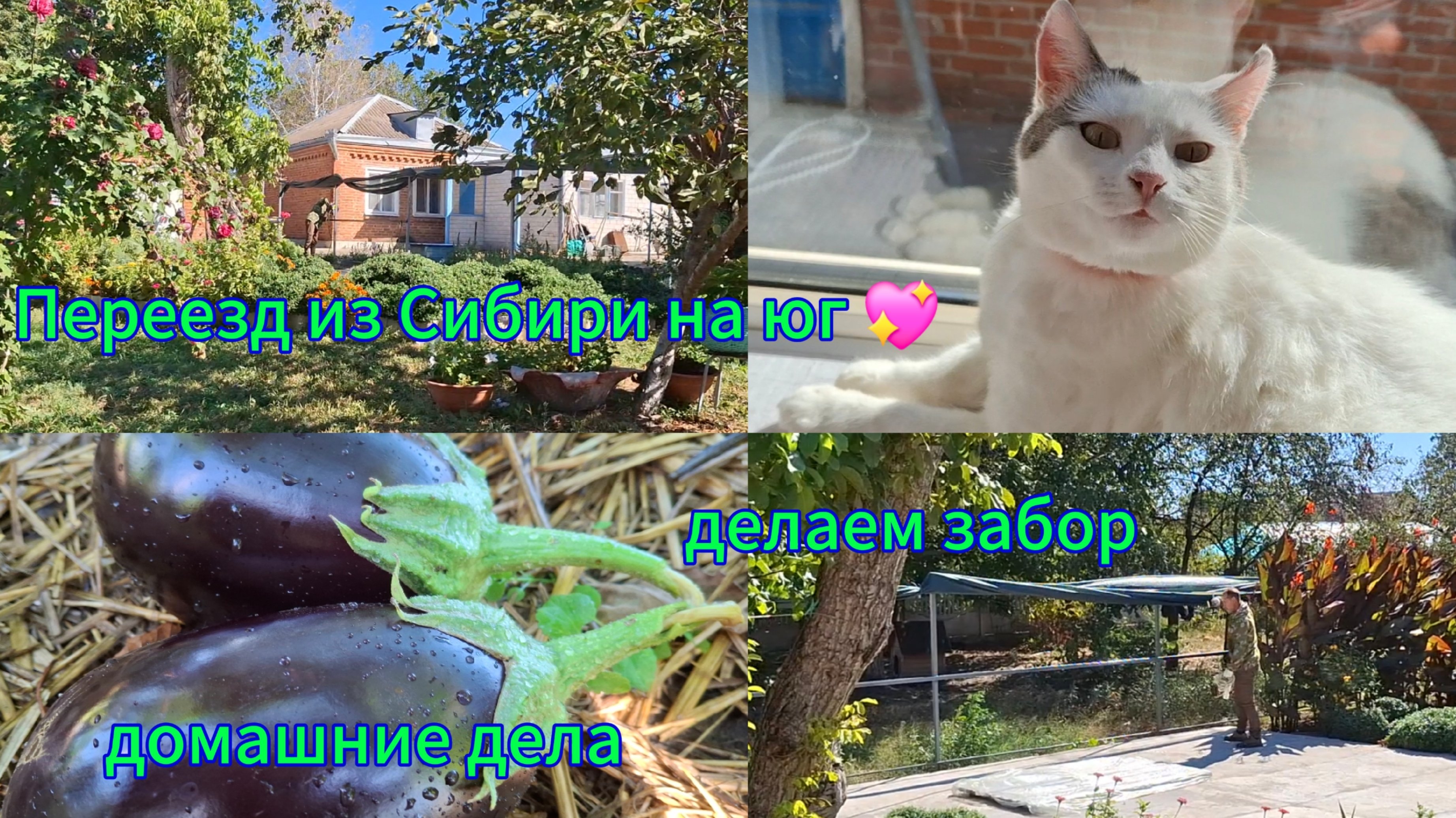Переезд из Сибири на юг  Купили дом на юге  Третья лага Красимваримготовим