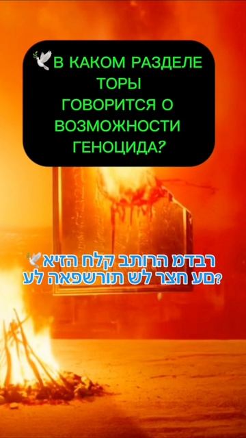 🕊️🔥 В КАКОМ РАЗДЕЛЕ ТОРЫ ГОВОРИТСЯ О ВОЗМОЖНОСТИ ГЕНОЦИДА?
#israel #genocide #palestine