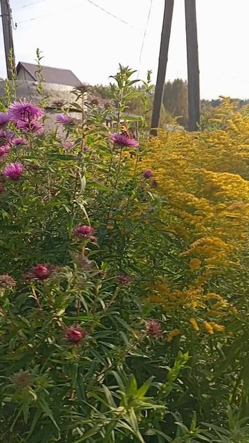 Привезли кольца🛠🛠🛠