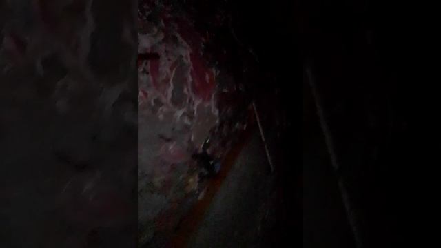 VID_20250912_211633.mp4