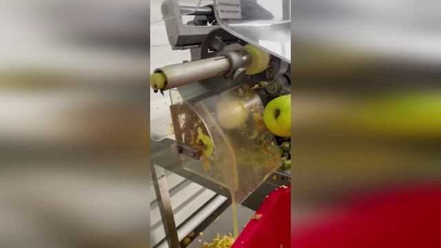Станок для чистки и резки яблок