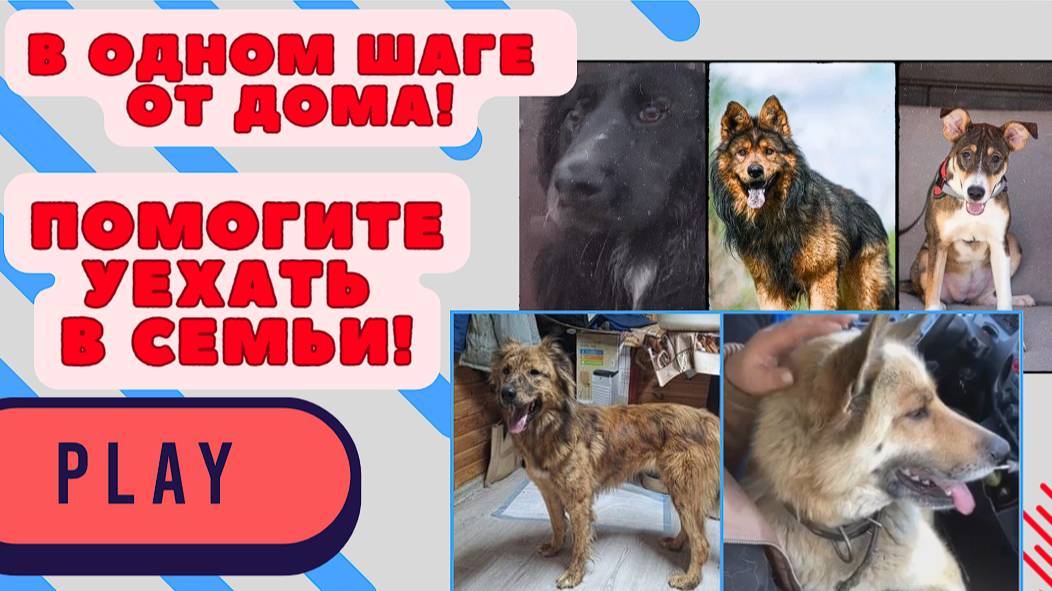 Нас выбрали, но без титров нам - не стать счастливыми!