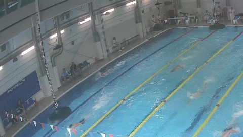 Областные соревнования по плаванию ФПЧО 15.09.2025